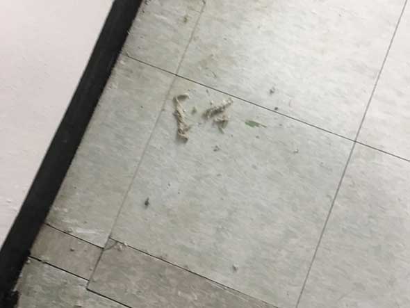 청소사례사진