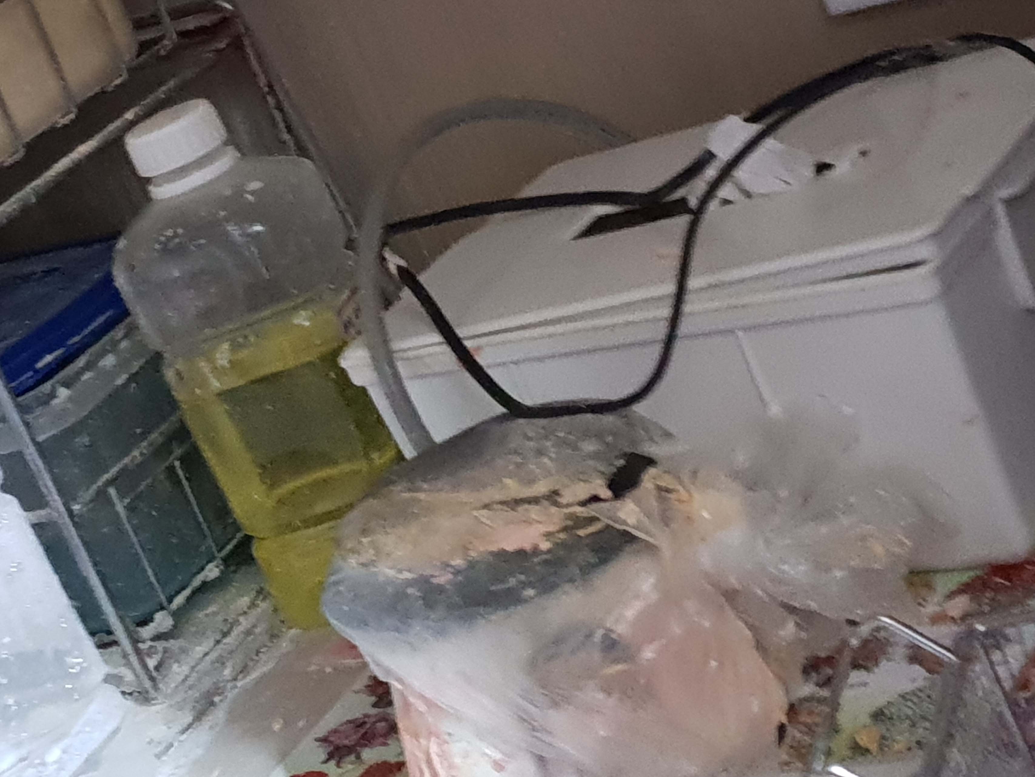 청소사례사진