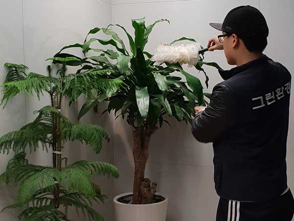청소사례사진